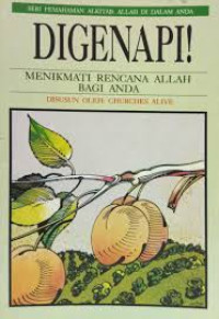 Image of Digenapi! menikmati rencana Allah bagi anda